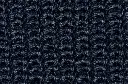 marine_02.webp