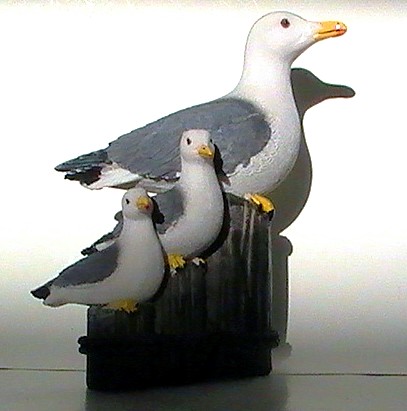 Additional Image 4 for 192296