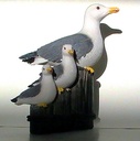 Additional Image 4 for 192296