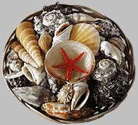 [KR 29429] Muschelkorb, 15 cm